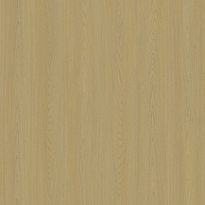 RS1233